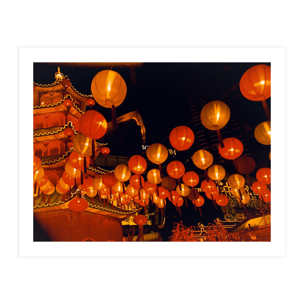 Light The Way (Print Only)