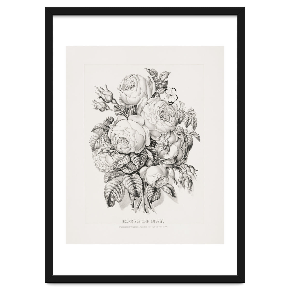 Currier & Ives – Rose of May (1870)