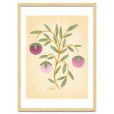 Vintage Fruits thumbnail
