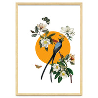 collage floral birds