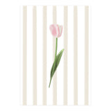 Single Tulip (Print Only) thumbnail