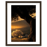 The Hill thumbnail