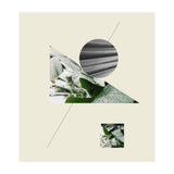 Tropical Geometry No 2 (Print Only) thumbnail