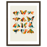 Colorful Butterflies thumbnail