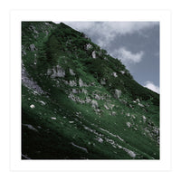 SKIN OF NATURE - WILD CLIFF (Print Only)