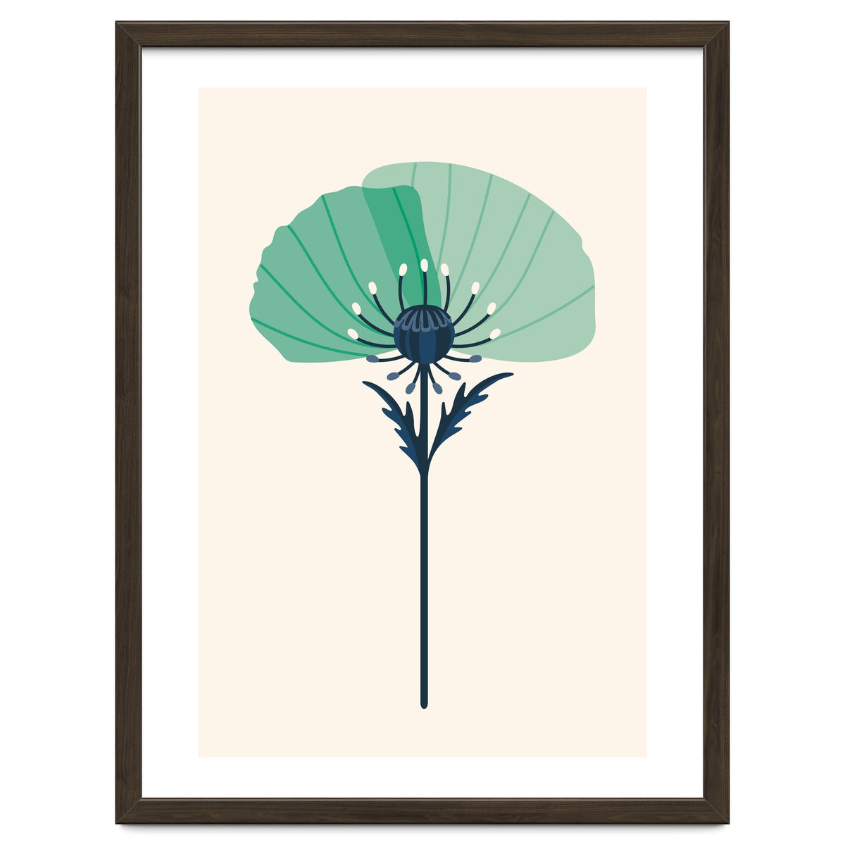 Teal Half Poppy