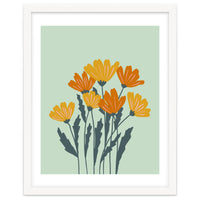 Orange and Yellow Flowers