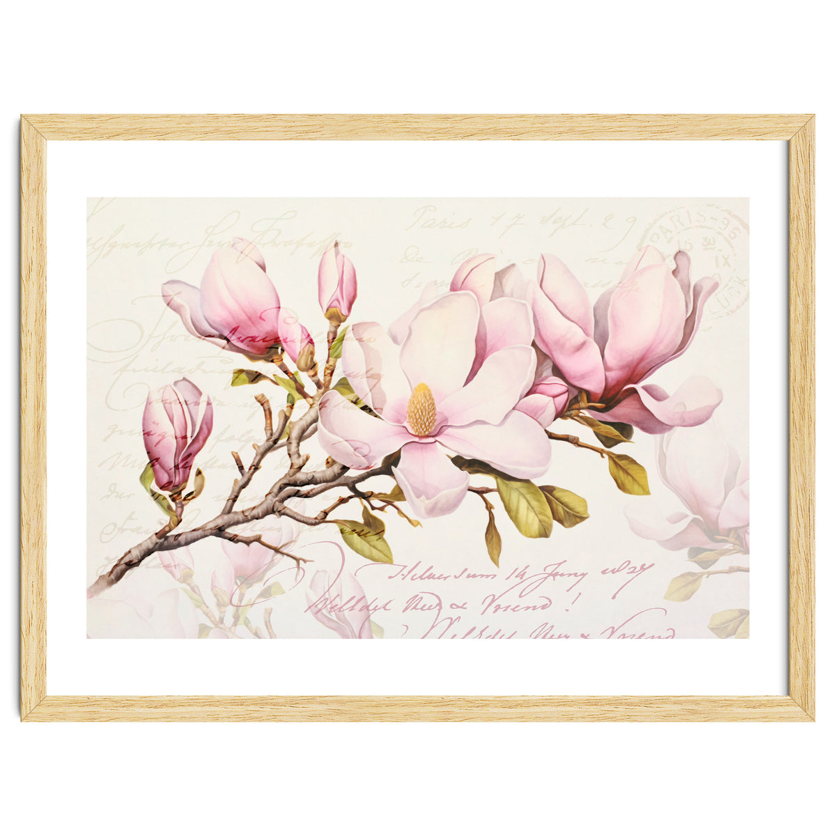 Magnolia Spring Romance Pink
