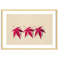 Dancing Leaves