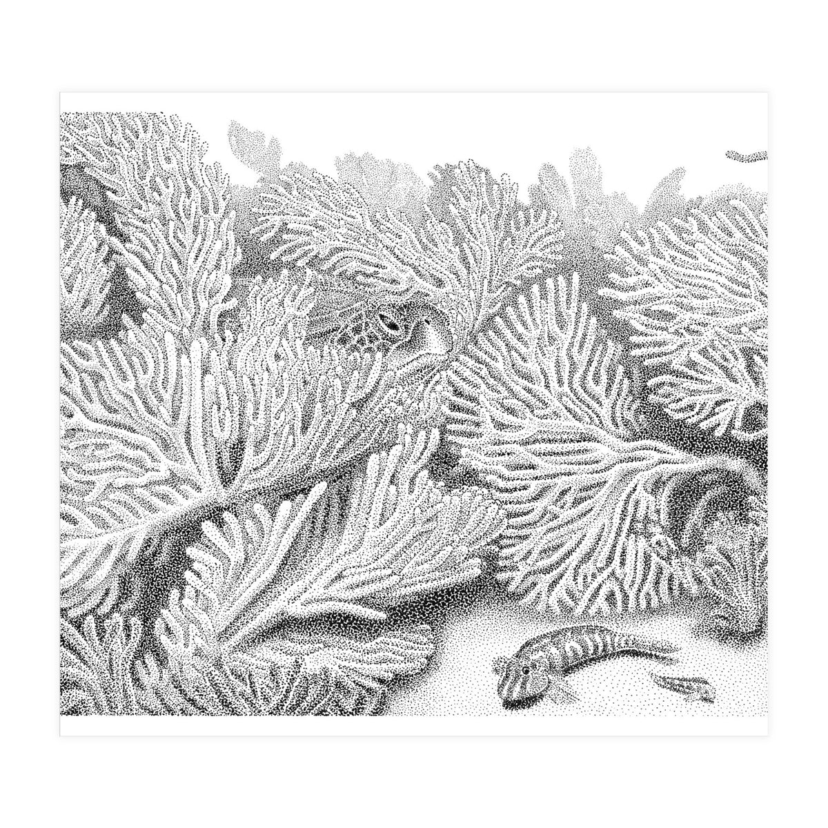 Hidden in plain sight (Print Only)