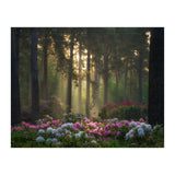 Rhododendron forest (Print Only) thumbnail