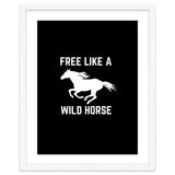 Free like a wild horse thumbnail