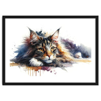 Maine Coon Resting Portrait