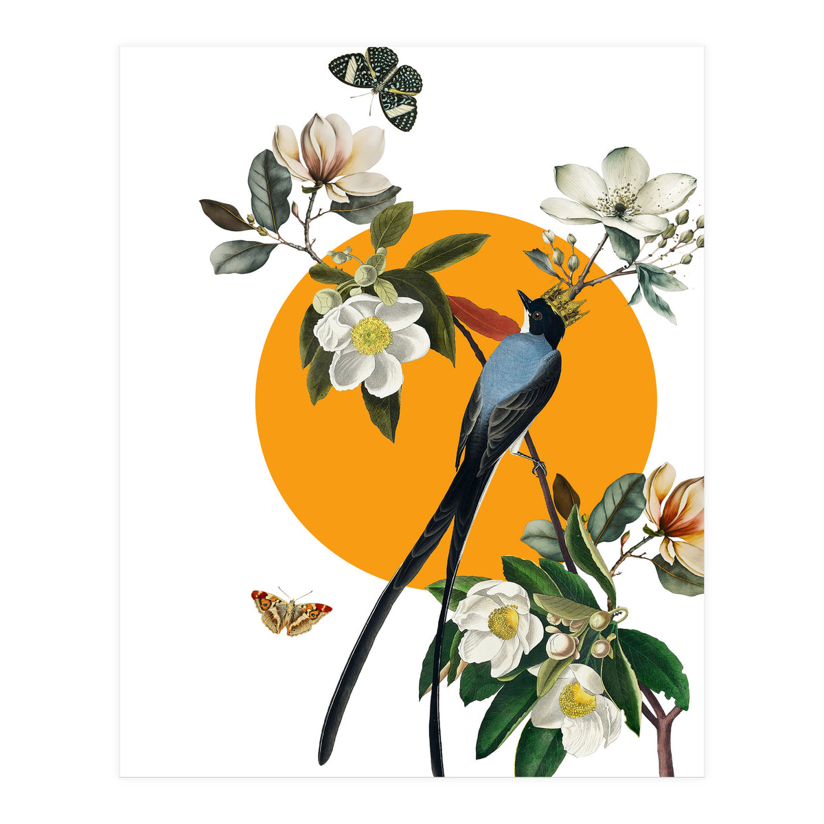 collage floral birds (Print Only)