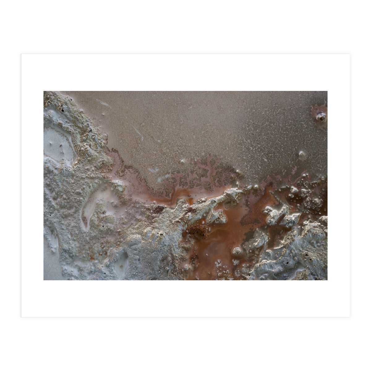 Resilience (Print Only)