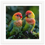 Lovebirds Perched Together On Mossy Branch thumbnail