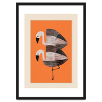 Tangerine Flamingos