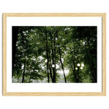 Light bulb among the trees in the summer forest thumbnail