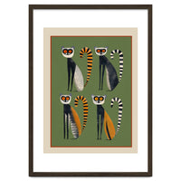 Striped Lemurs