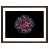Backyard Flowers No 116 Color Version thumbnail