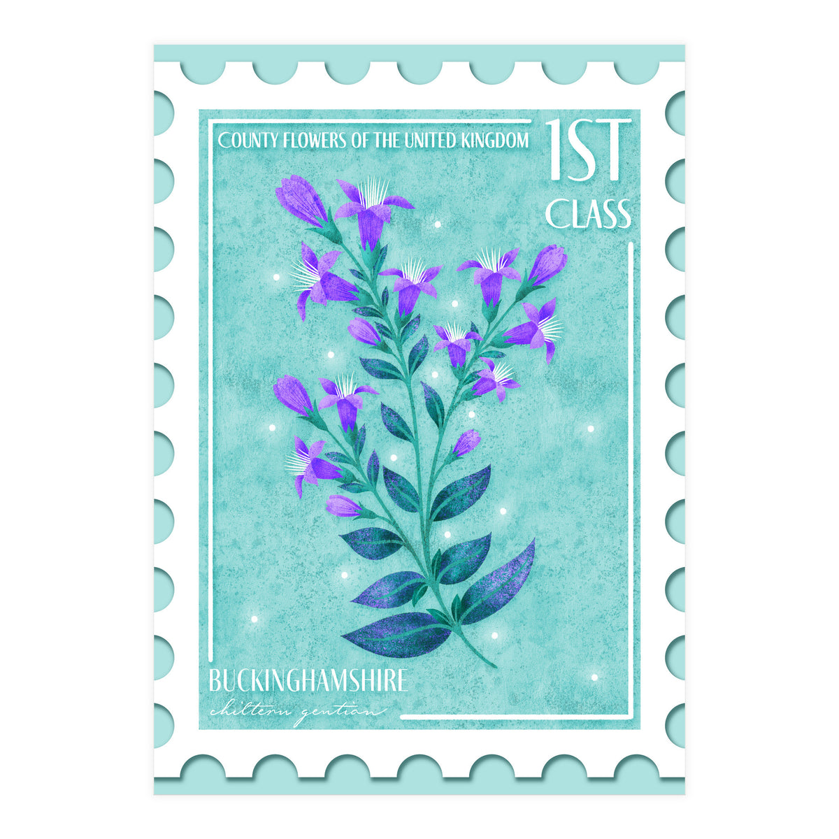 The Buckinghamshire Chiltern Gentian Postage Stamp (Print Only)