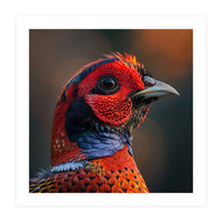 Close Up Pheasant Bird  (Print Only)