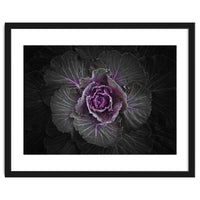 Backyard Flowers No 108 Color Version