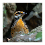 Colorful Bird Perched Among Rocks And Foliage (Print Only) thumbnail