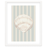 Sea shell thumbnail