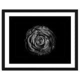 Backyard Flowers In Black And White No 72 with Border thumbnail