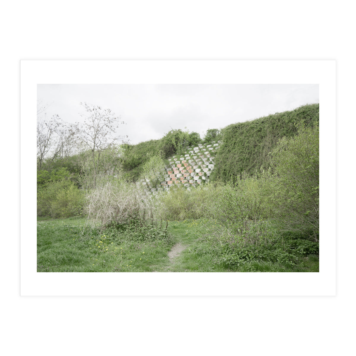 Green grass wall (Print Only)