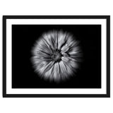 Backyard Flowers In Black And White No 10 Flow Version thumbnail