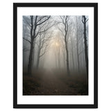 Ethereal Morning Light Breaking Through Dense Forest Fog thumbnail