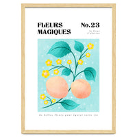Magical Flowers No.23 Apricot Blossom