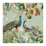 Vintage Exotic Asian Peacocks In Tropical Jungle Landscape (Print Only) thumbnail
