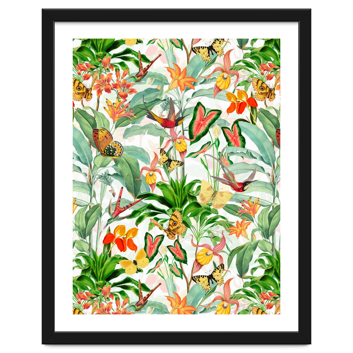 Birds And Butterflies In Tropical Jungle