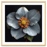 Hellebore | Silver Magic thumbnail