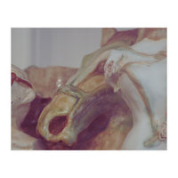 Ceramics II (Print Only)