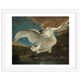 The Threatened Swan. The Threatened Swan; Interpreted later as an Allegory on Johan de Witt. Dati... thumbnail