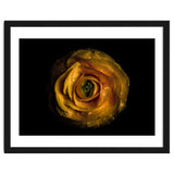 Backyard Flowers No 72 Color Version thumbnail