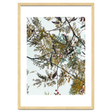 Patterns In Nature thumbnail