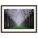 Cherry trees in the fog thumbnail
