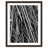 Black Tectorius Plant Shoots Art thumbnail