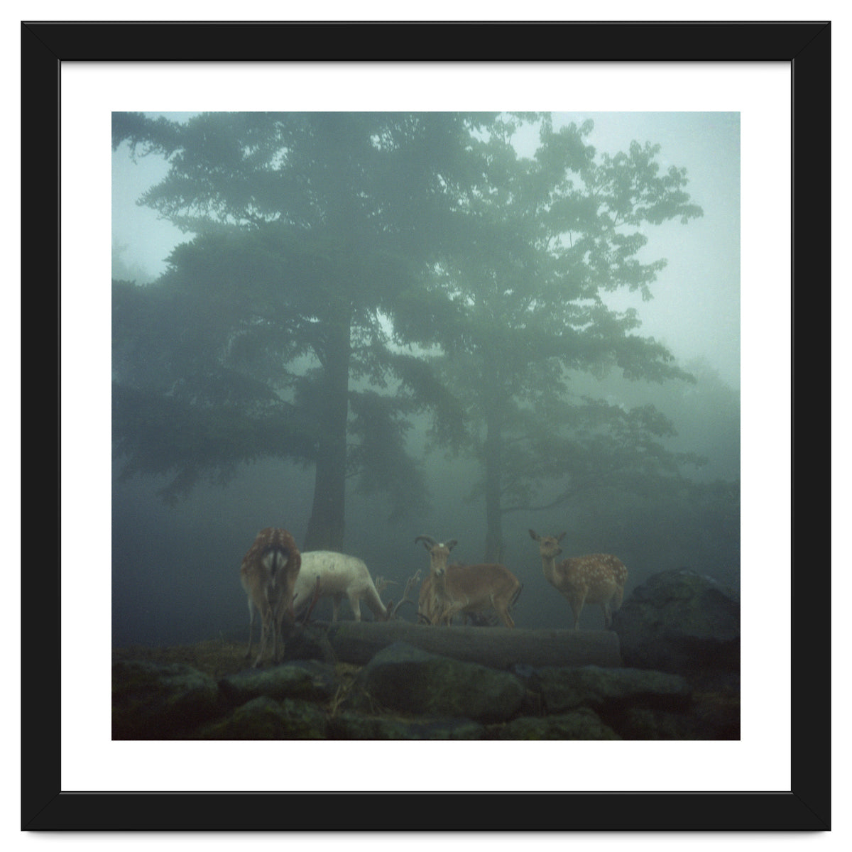 Silence of breath - 05