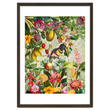 Toucan vintage jungle thumbnail