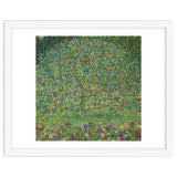 Apple Tree I, 1911 or 1912. Estates of Ferdinand and Adele Bloch-Bauer. thumbnail
