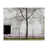 A tree in front of the wall (Print Only) thumbnail