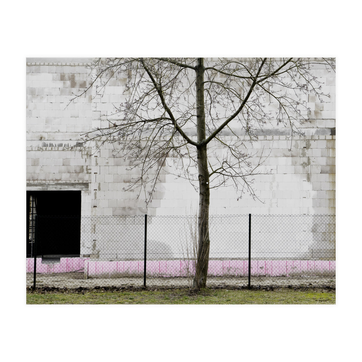 A tree in front of the wall (Print Only)