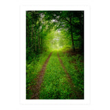 Green Forest Trail (Print Only) thumbnail