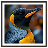 King Penguin With Water Droplets In Rain thumbnail